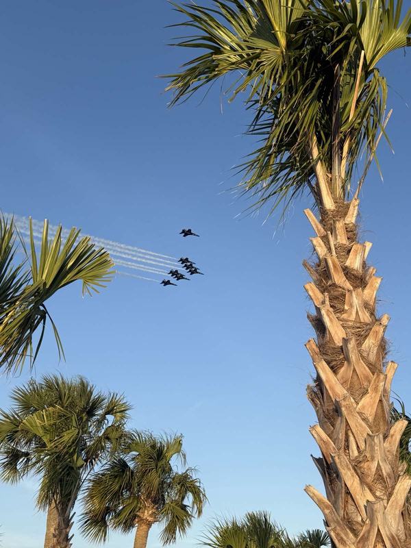 Blue Angels over Pensacola